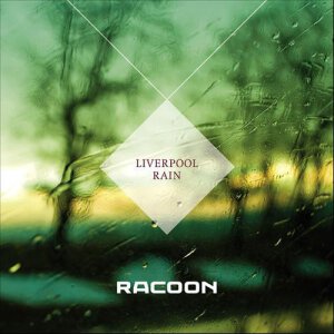 Racoon